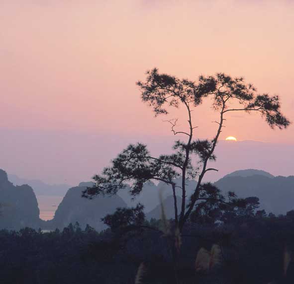 Chơn tâm trực thuyết giảng giải