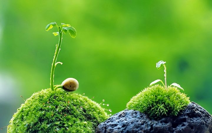 Nhân quả, Nghiệp,Luân hồi - Phần 4: Giải đáp những thắc mắc nghi vấn