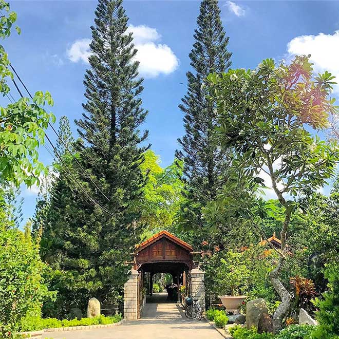 Nền tảng ban đầu