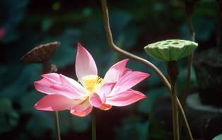 Nhìn lại chính mình