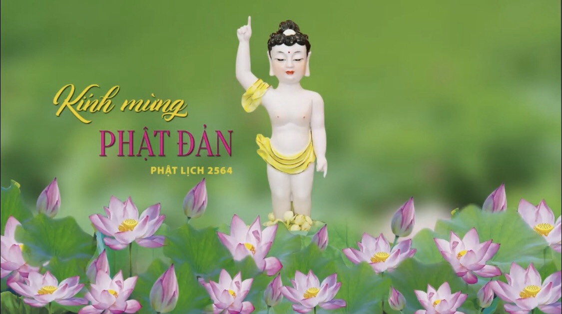 Mùa Phật Đản an lành trước mùa  dịch