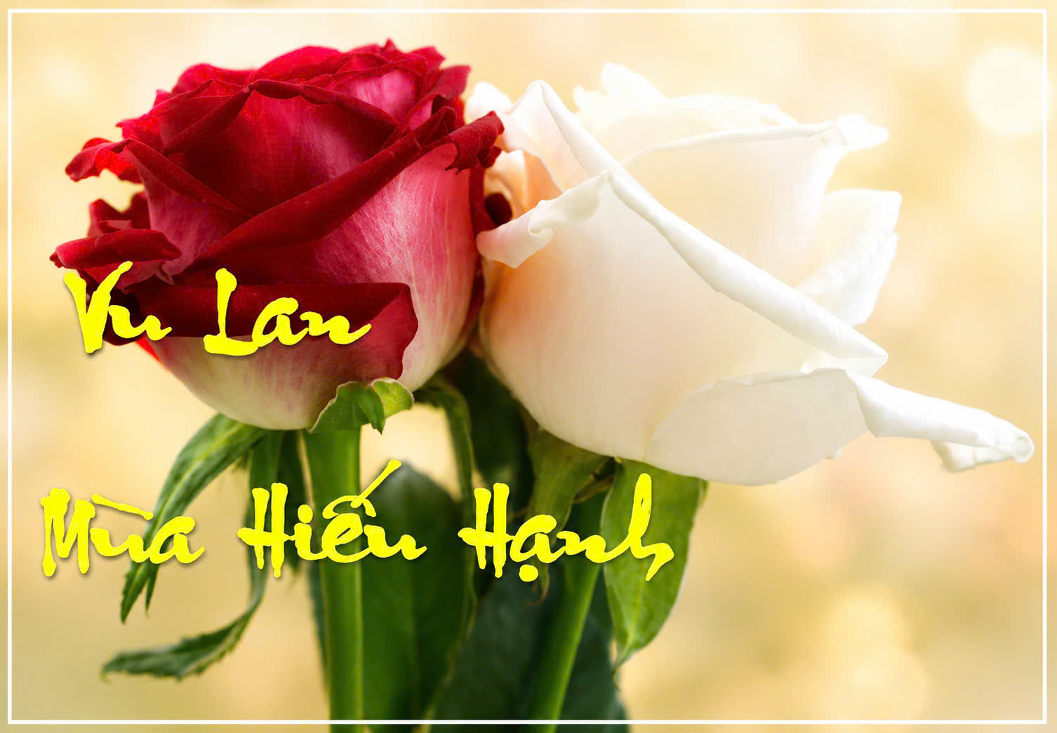 Tinh Thần Hiếu Thảo Ngày Vu Lan Tự Tứ